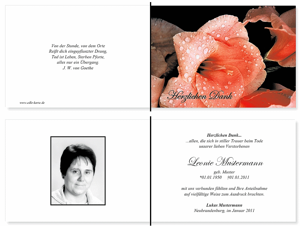 trauerdankeskarten-lilie-17