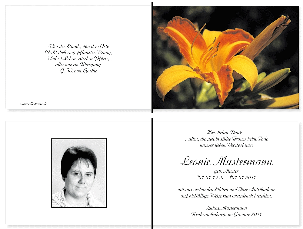 trauerdankeskarten-lilie-18