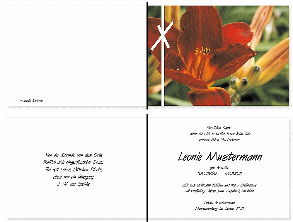 trauerdankeskarten-lilie-19