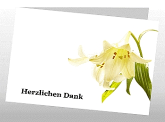 Danksagungskarten Trauer Lilie