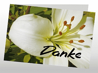 Danksagungskarten Trauer Lilie