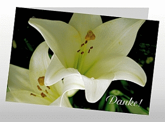 Danksagungskarten Trauer Lilie