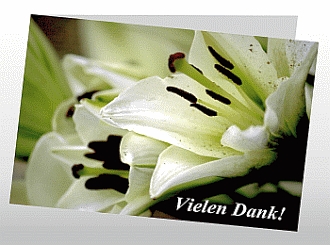 Danksagungskarten Trauer Lilie