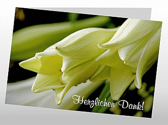 Danksagungskarten Trauer Lilie