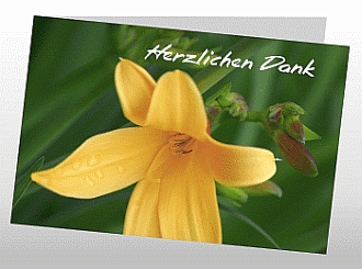 Danksagungskarten Trauer Lilie