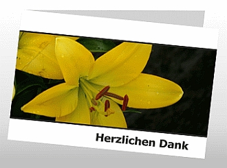 Danksagungskarten Trauer Lilie
