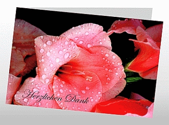 Danksagungskarten Trauer Lilie