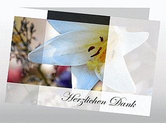 Danksagungskarten Trauer Lilie