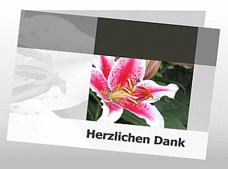 Danksagungskarten Trauer Lilie