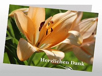 Danksagungskarten Trauer Lilie