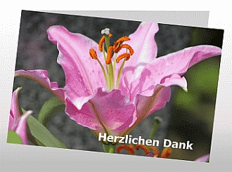 Danksagungskarten Trauer Lilie