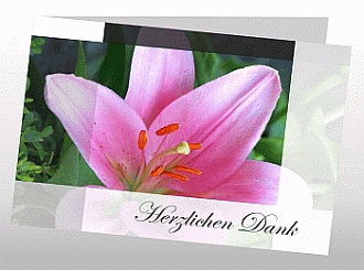 Danksagungskarten Trauer Lilie