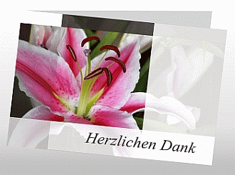Danksagungskarten Trauer Lilie