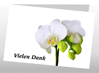 Danksagungskarten Trauer Orchidee