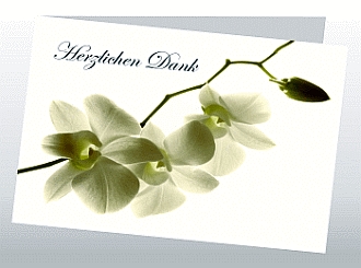 Danksagungskarten Trauer Orchidee