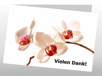 Danksagungskarten Trauer Orchidee