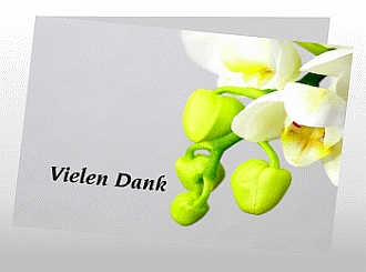 Danksagungskarten Trauer Orchidee