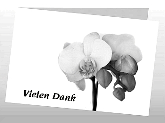 Danksagungskarten Trauer Orchidee