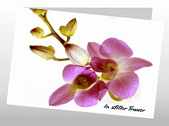 Danksagungskarten Trauer Orchidee