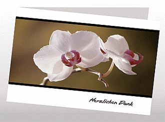 Danksagungskarten Trauer Orchidee