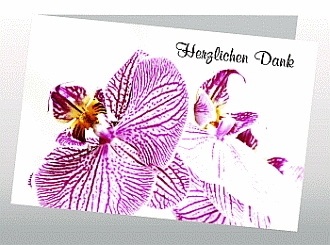 Danksagungskarten Trauer Orchidee