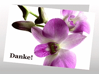Danksagungskarten Trauer Orchidee
