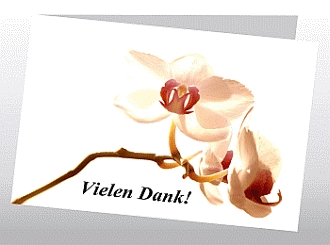 Danksagungskarten Trauer Orchidee
