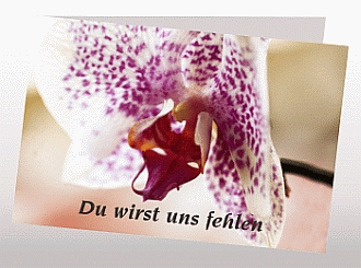 Danksagungskarten Trauer Orchidee