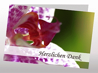 Danksagungskarten Trauer Orchidee