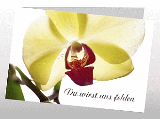 Danksagungskarten Trauer Orchidee