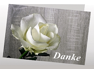 Danksagungskarten Trauer Rose