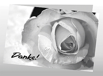 Danksagungskarten Trauer Rose