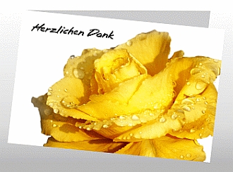 Danksagungskarten Trauer Rose