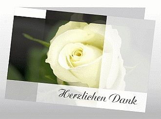 Danksagungskarten Trauer Rose