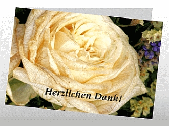 Danksagungskarten Trauer Rose