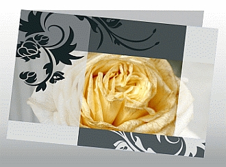 Danksagungskarten Trauer Rose