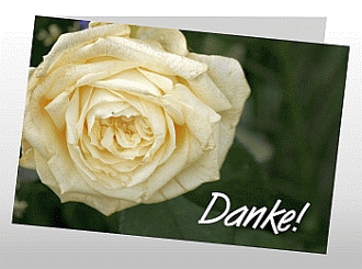 Danksagungskarten Trauer Rose