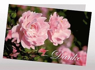 Danksagungskarten Trauer Rose