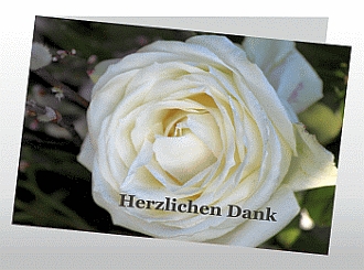 Danksagungskarten Trauer Rose