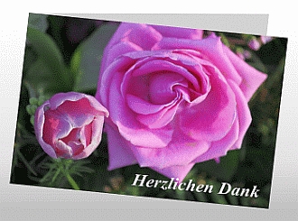 Danksagungskarten Trauer Rose