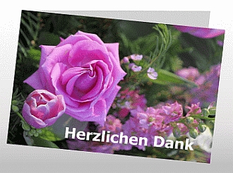 Danksagungskarten Trauer Rose