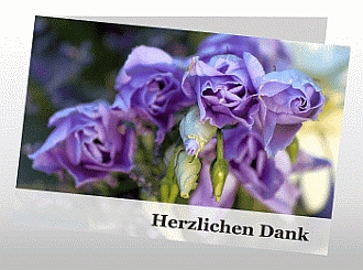 Danksagungskarten Trauer Rose