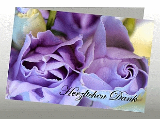 Danksagungskarten Trauer Rose