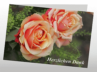 Danksagungskarten Trauer Rose