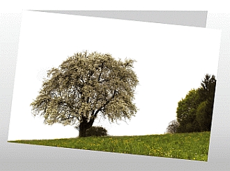 Danksagungskarten Trauer Sommer