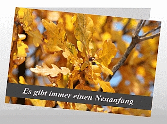 Danksagungskarten Trauer Wald