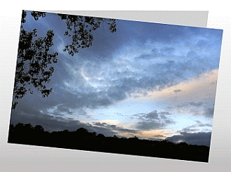 Danksagungskarten Trauer Wald