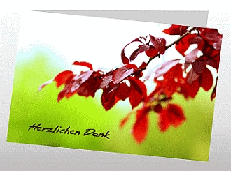 Danksagungskarten Trauer Wald