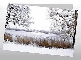 Danksagungskarten Trauer Winter