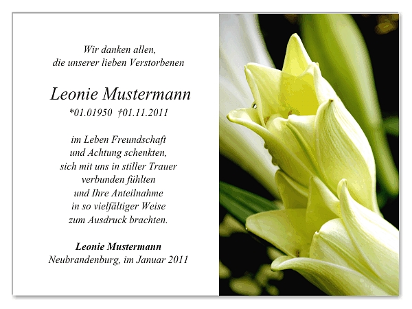 trauerkarten-danksagung-lilie-09